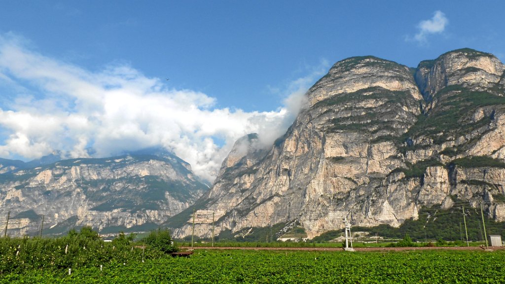 2011-08-02 09.46.04.jpg